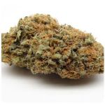 Шишки AK47 (Гидропоника, Бошка) VHQ в Тюмени Шишки AK47 (Гидропоника, Бошка) VHQ в Тюмени